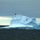 Illustration for article titled DNC Committee Throws Bound Jay Inslee Onto Melting Iceberg Before Pushing Him Out To Sea